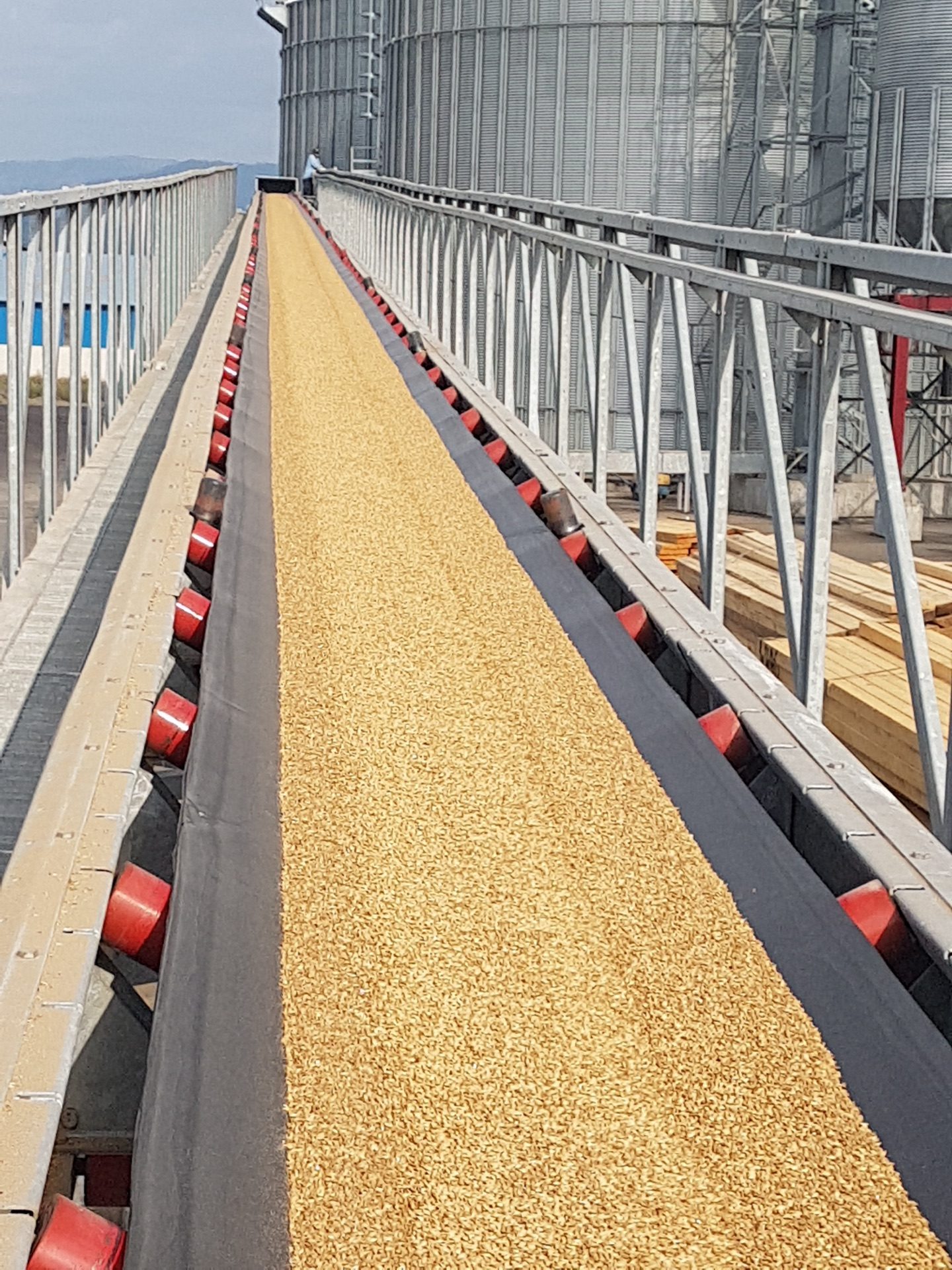 Belt Conveyor